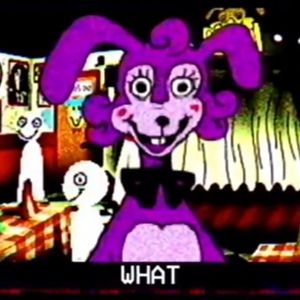 Meet your Posher, Ashlyn